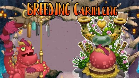 carillong breeding time